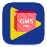 gms core vV1.8
