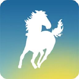 百马出行司机端