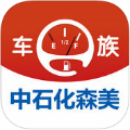 车e族