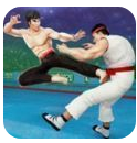 真实街头格斗v1.0