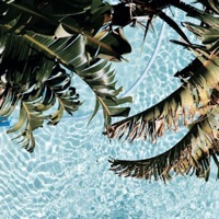 唯美生活情感社区