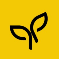 伊得相遇