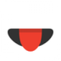 Spot(小卫星)