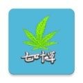 光标谱最新版 vv2.0.11