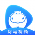 河马视频131tv