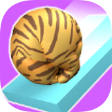 协助小猫