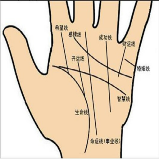 扫一扫看手相