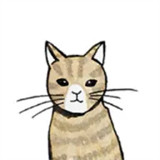 回梦之旅2免广告版