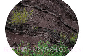 VideoStar软件v9.7.6截图