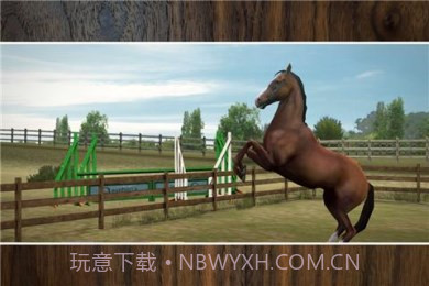 我的马儿V1.8截图