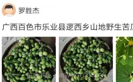 助农通v1.0.13截图