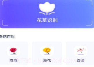 天际扫描王v1.0.8截图