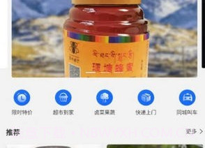 马上理塘v1.2.12截图