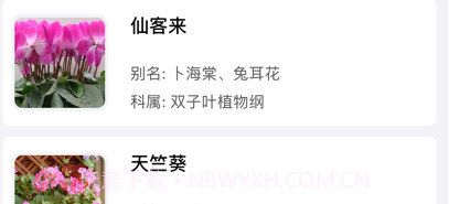 瑞倡花息v1.11截图