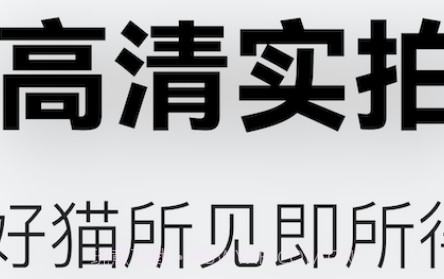 随它v1.0.9截图