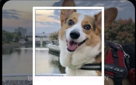 OviCut视频剪辑v1.8.10截图