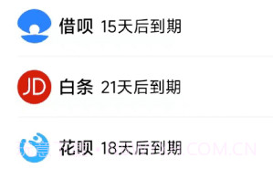 叮叮记账本v1.2.11截图