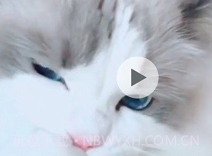 千蝉视频剪辑王v1.1.6截图