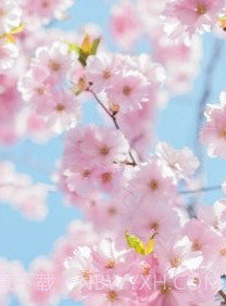 一拍修图v1.2.7截图