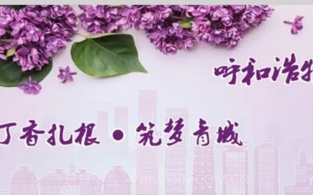 丁香扎根v2.2.14截图