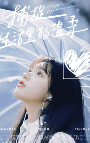 抖推猫v1.0.8截图