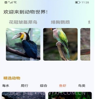 广场动物园v1.10截图