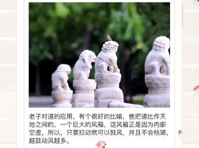善信最新版v3.6.5截图