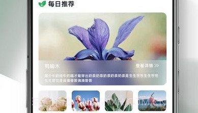 四季花园v1.0.6截图