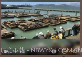 Live Camera Viewer软件v1.7截图