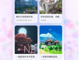 追影V1.9.5截图