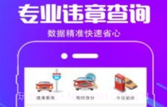 车行违章查询v4.3.11截图