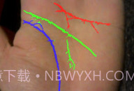 免费拍照看手相算命V1.0.8截图