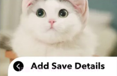 爱猫物语宠物店1.0v1.0.5截图