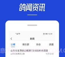 青鸽网v3.6.10截图