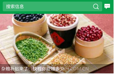 金农网v8.7截图