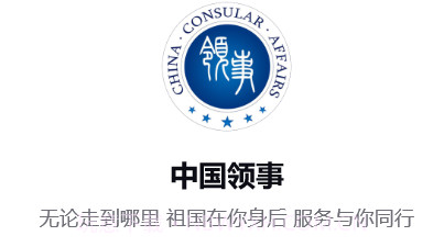 中国领事换护照v2.1.13截图