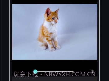 PicsDazz修图v1.9截图