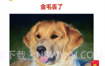 宠物的日记V1.0.6截图