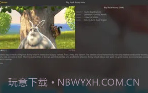 nPlayerV1.5.5.5截图