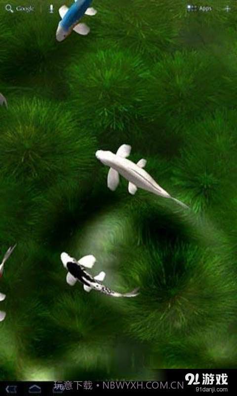 锦鲤3D动态壁纸1.3截图