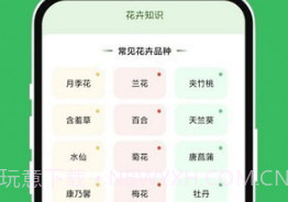 青沁睐匣子v1.0.12截图