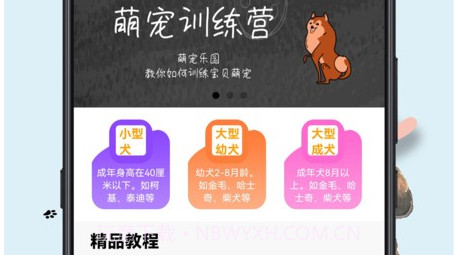 训狗教程v1.0.11截图