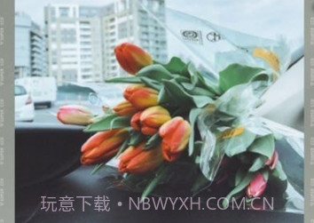 ProCCD相机v1.11截图