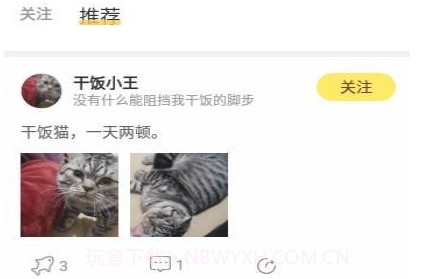 宠萌小窝v1.0.10截图