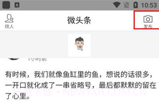 微头条v3.10V3.20.56.000.0603.8截图