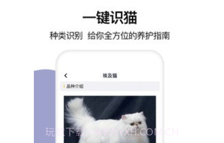 猫语翻译大全v1.13截图