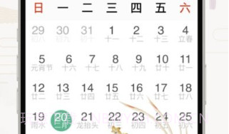 好运日历大字版v1.12截图