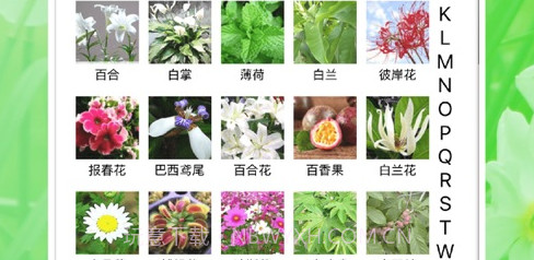 花草日记植物识别工具v1.0.12截图