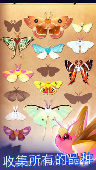 彩翼之星夜starlightv2.1.8截图