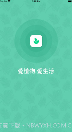 口袋绿植v1.12截图